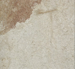 Vitacer Shenandoah Cream